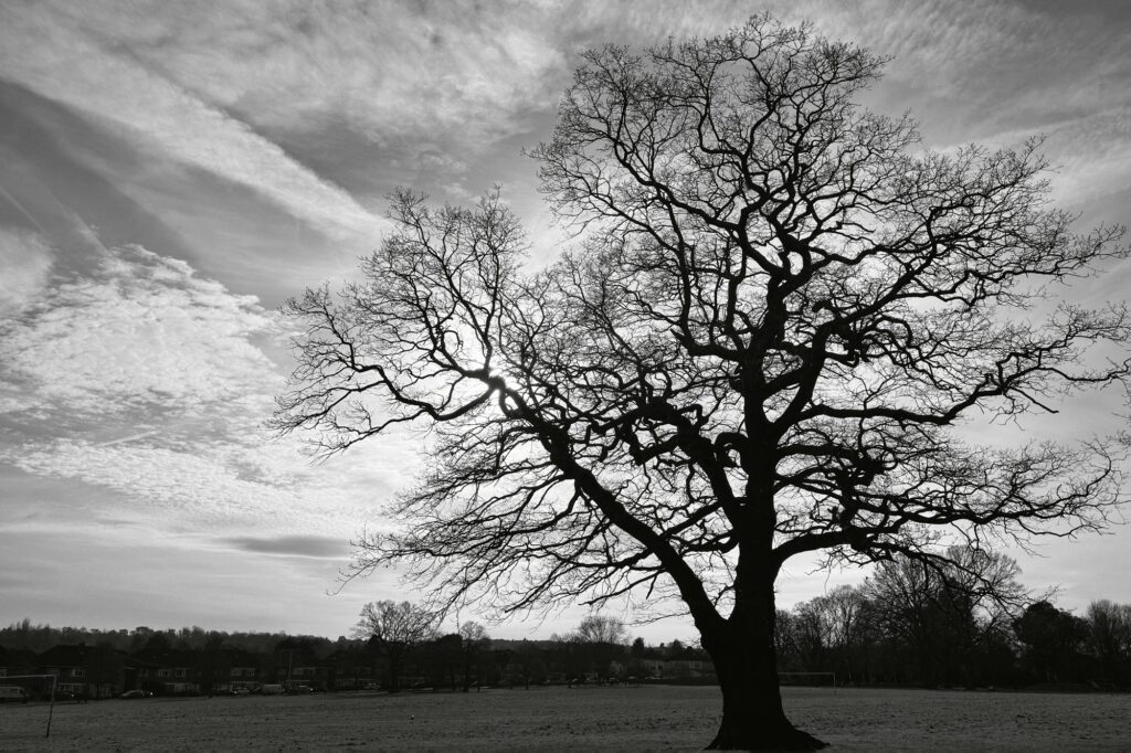 img_0765-1024x682 الاستثمار كفنّ الندم: لماذا لا يربح من لا يحتمل الشعور بالخسارة؟